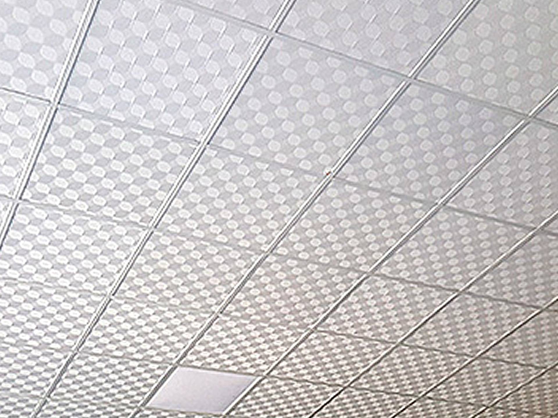 Karolam Tavan ile Şık ve Dayanıklı Mekanlar