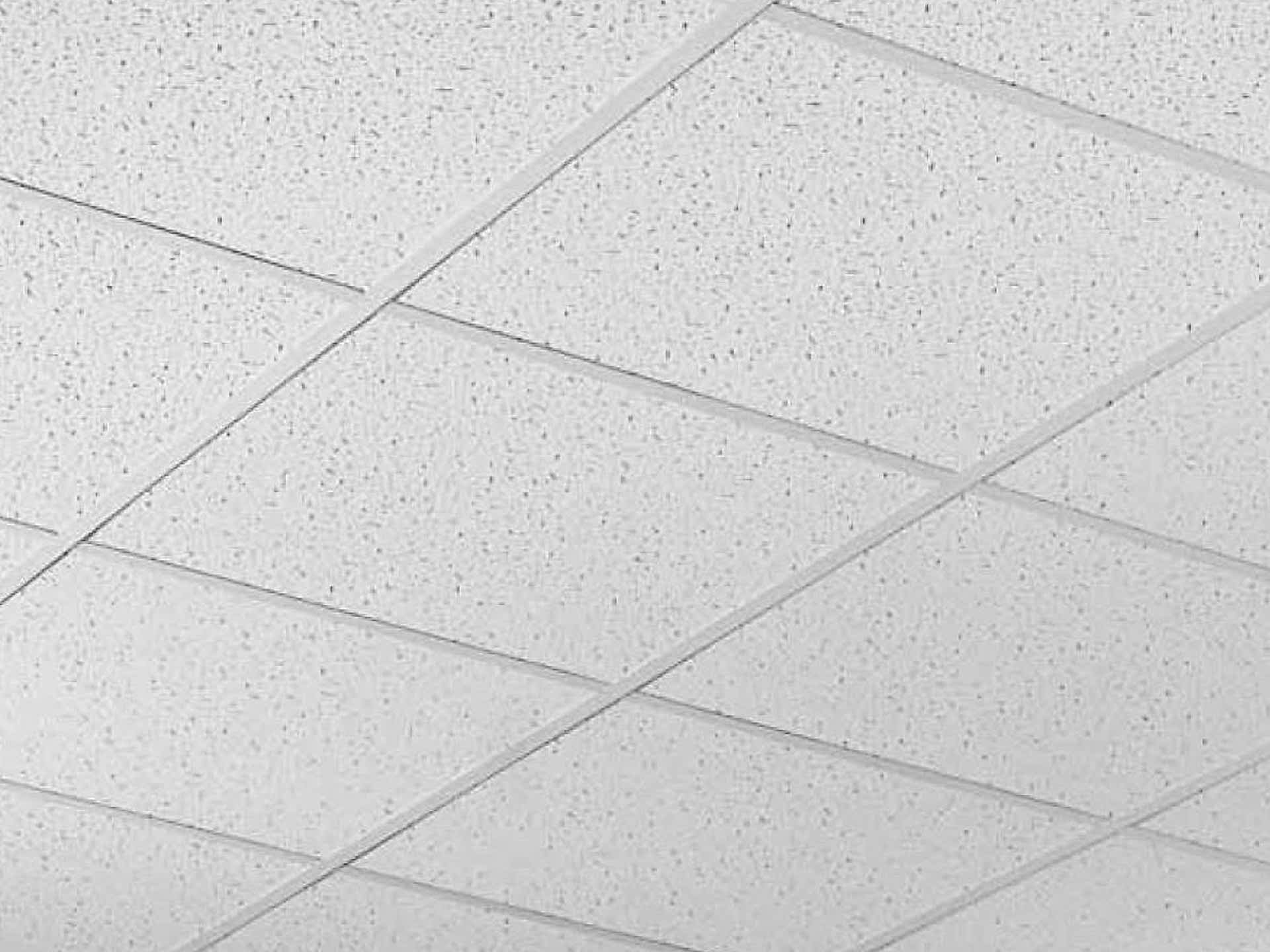 Taşyünü Tavan ile Üstün Akustik ve Dayanıklılık