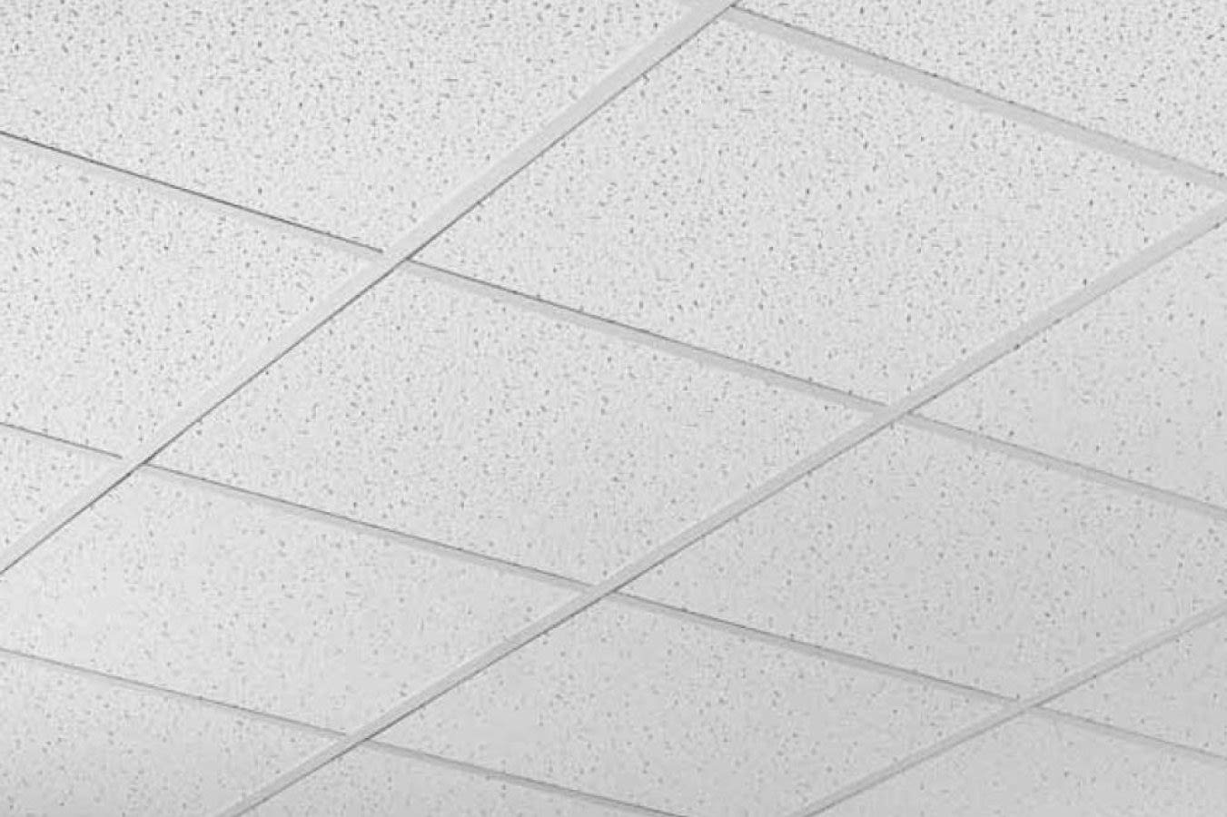 Taşyünü Tavan ile Üstün Akustik ve Dayanıklılık